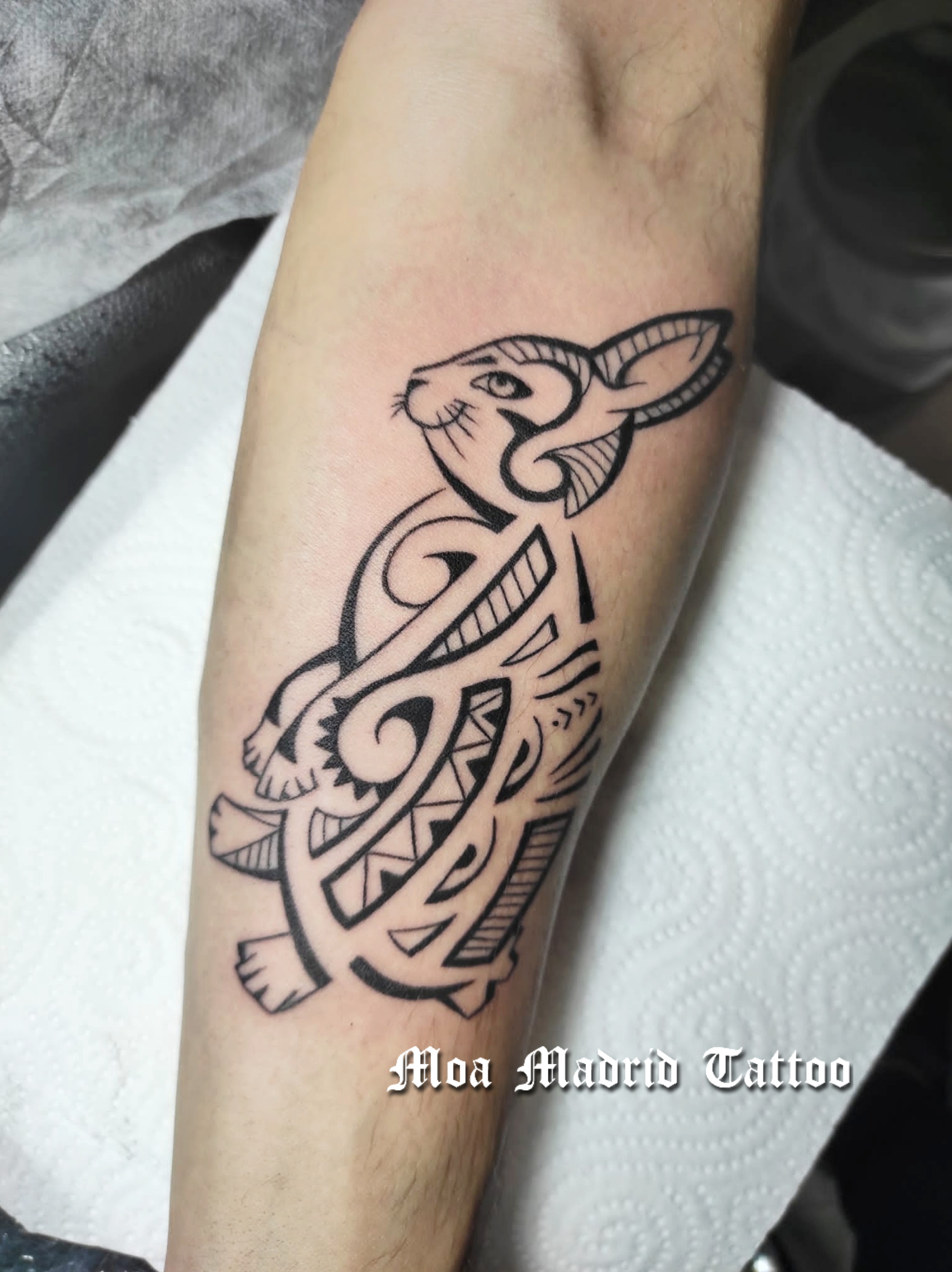 Tatuaje de conejo estilo maorí, diseño exclusivo. WhatsApp 650018319