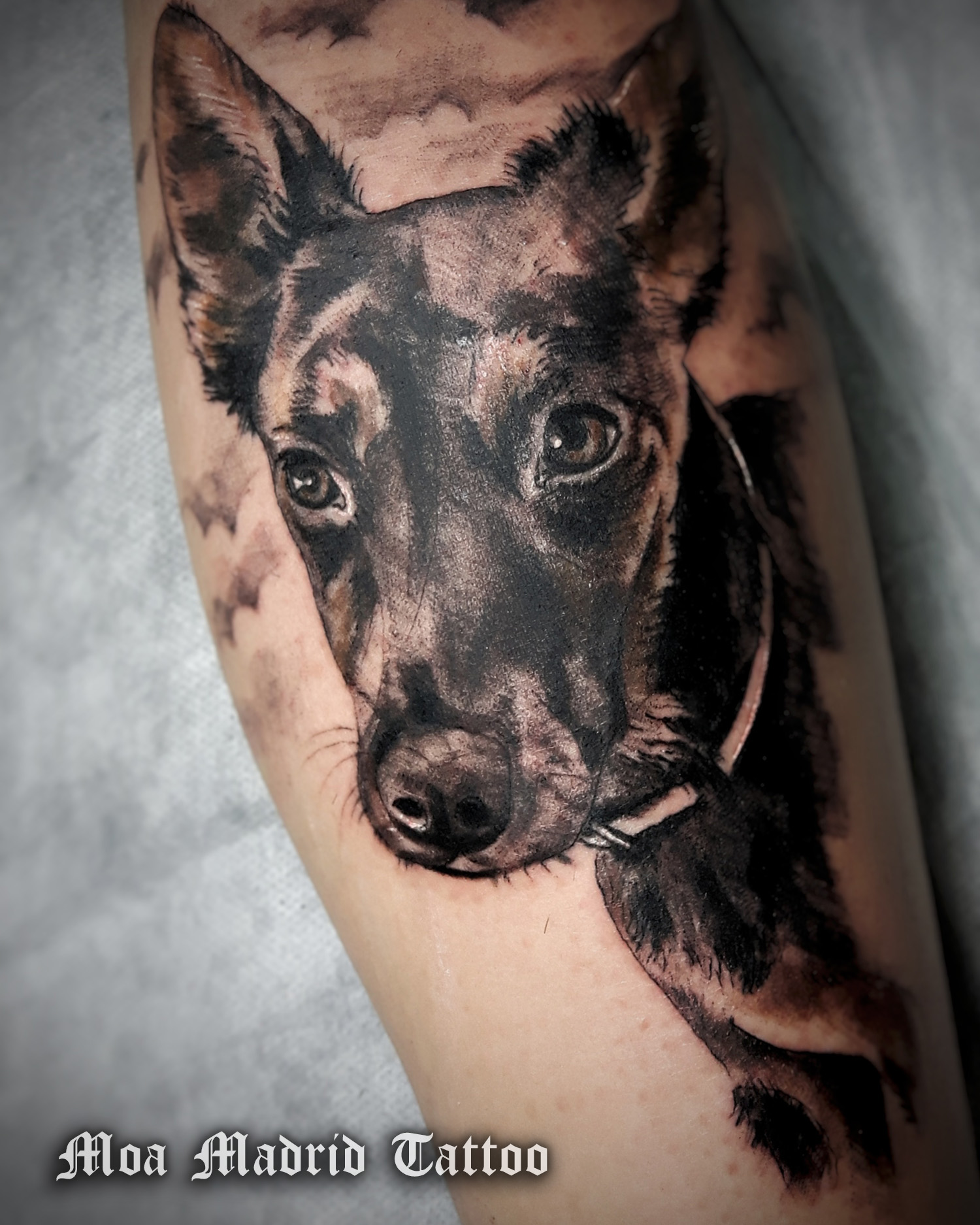 Tatuaje de retrato de su perra