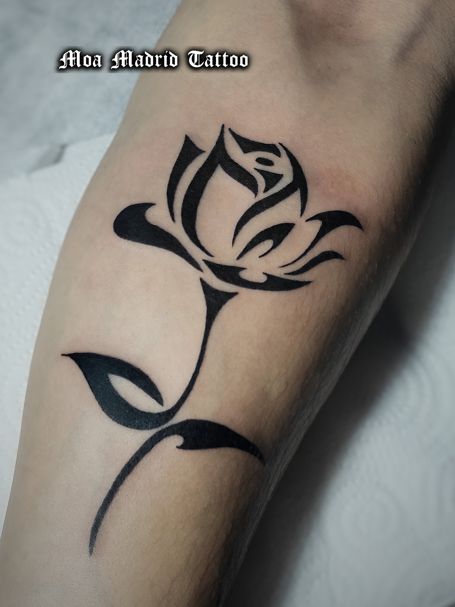 Tatuaje de rosa de gruesas líneas negras en el antenrazo